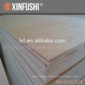 birch plywood for russian market